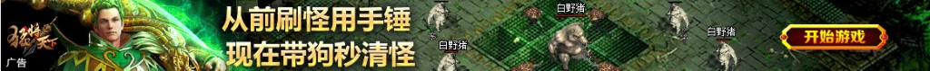 中财国际股票